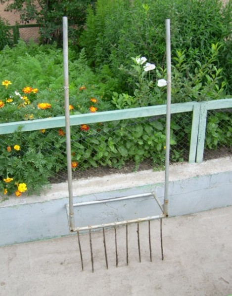 1l