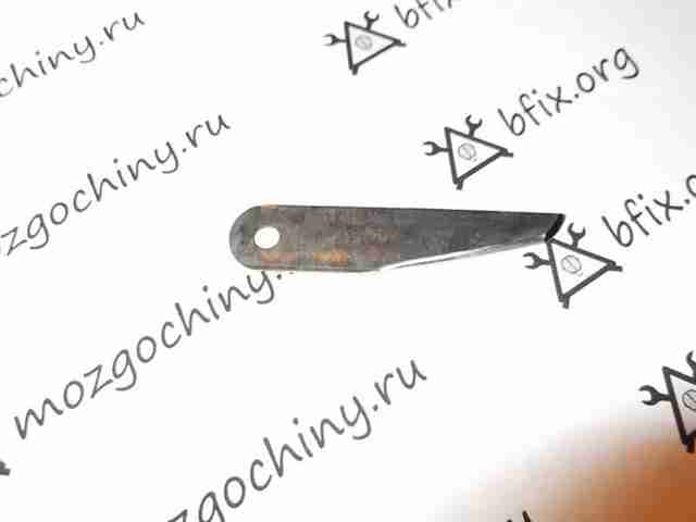 name_ 009