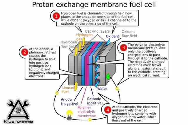fuel cell