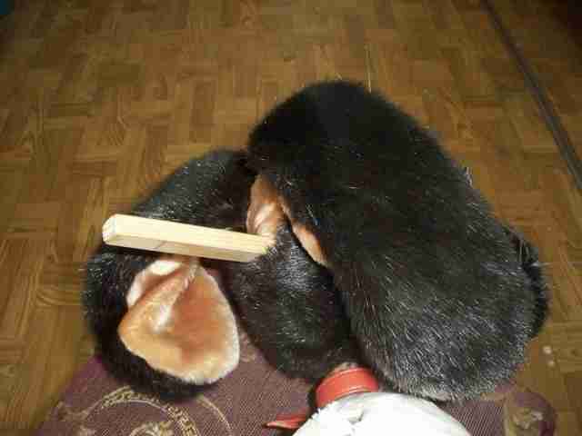 100_4366