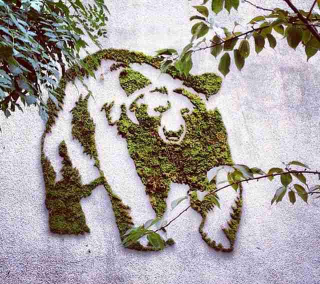 Make-a-moss-graffiti-yourself-Blog-Benetton-2