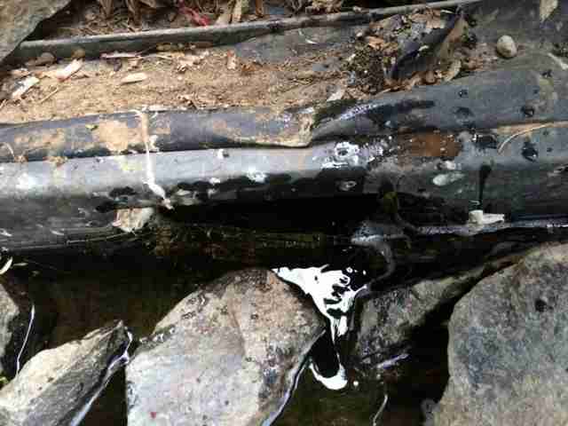 Водоём на дачном участке своими руками 14