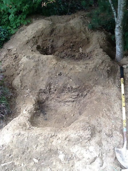 Водоём на дачном участке своими руками 6