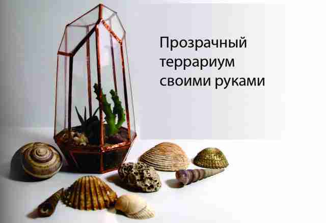 FGADR5OIMAVOBD6.LARGE