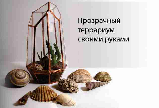 Прозрачный террариум своими руками