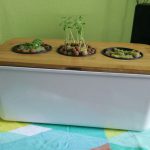 Домашний гидропонный сад своими руками