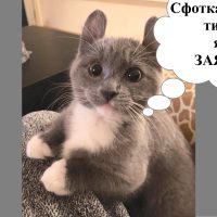 Дайте мне поддон, и я сделаю платформу для панорамной съёмки своими руками