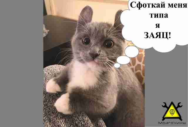Дайте мне поддон, и я сделаю платформу для панорамной съёмки своими руками Дайте мне поддон, и я сделаю платформу для панорамной съёмки своими руками
