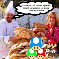 Наверное, самый простой способ вырастить мицелий своими руками