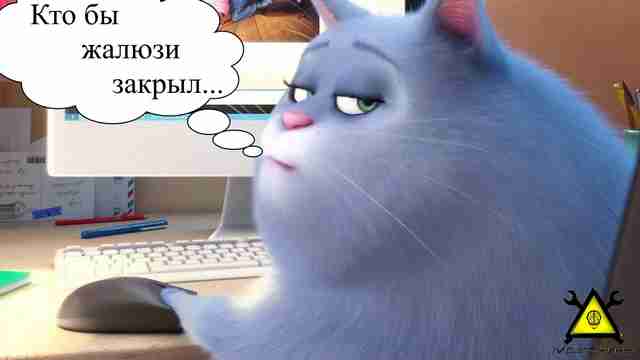 Заставьте жалюзи работать на Вас