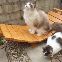 Как сделать гамак для кошек своими руками