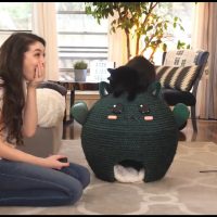 Домик для кота своими руками