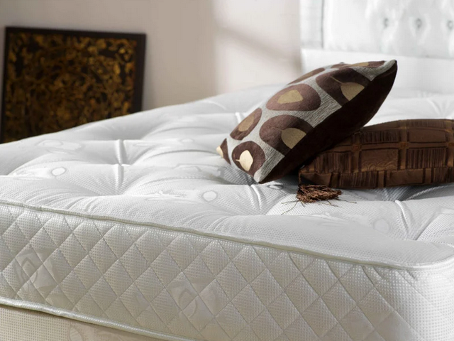Предложение ОКMatras: Dimax Практик Софт Хард 500 со скидкой 30%