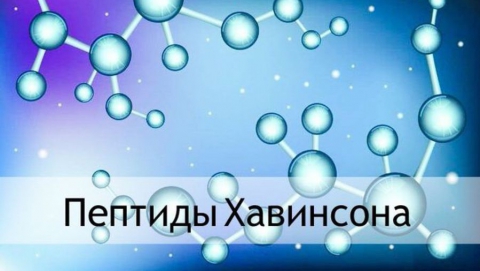 Пептиды Хавинсона: Перспективы для Здоровья, Спорта и Замедления Старения